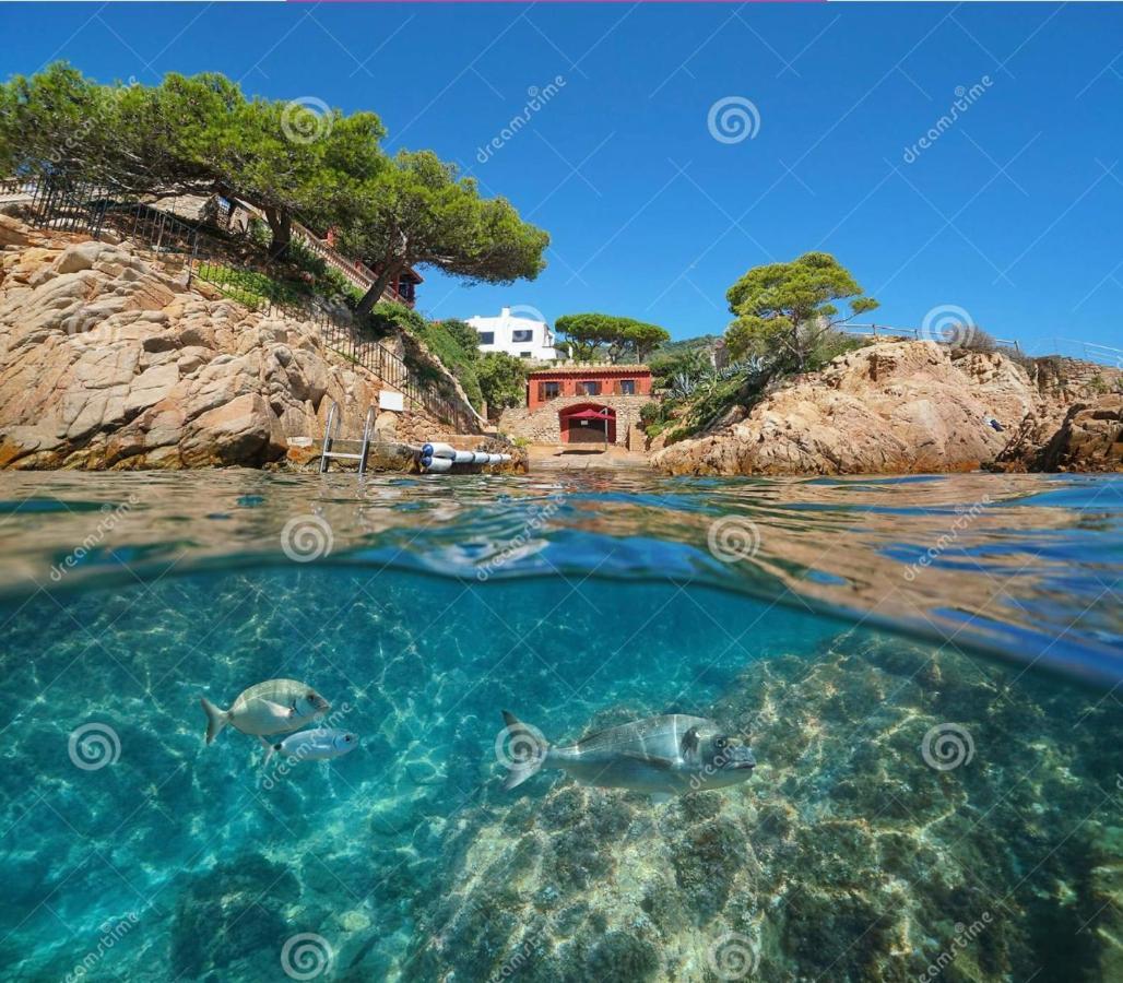 Noor Apartamento Begur Exterior photo